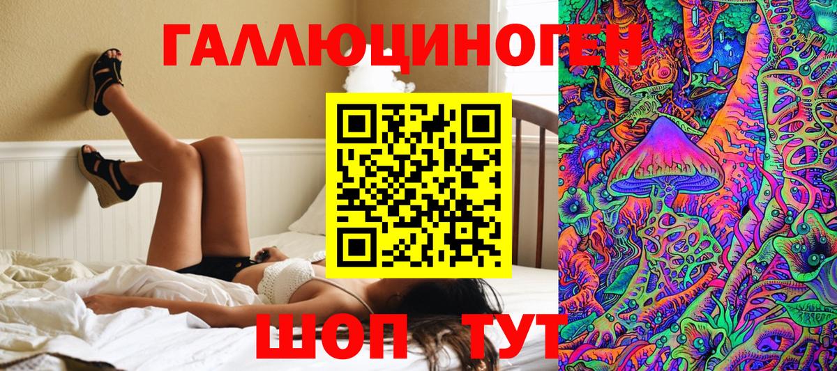 Псилоцибиновые грибы MAGIC MUSHROOMS  Вход с VPN  купить наркотики цена  Асино 